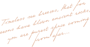 https://seymad-photographie.com/wp-content/uploads/2020/10/floating_image_02.png